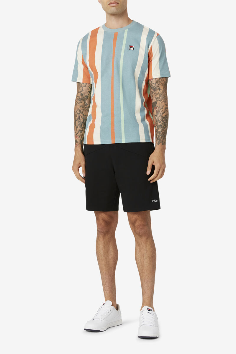 Fila Gach Striped T-shirt Herr Olika Färger | APsjosOCAQZ